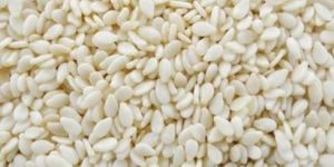 Sesame Seeds
