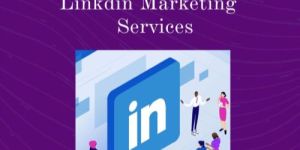 LinkedIn Marketing Service