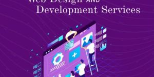 Web Design and Development Services