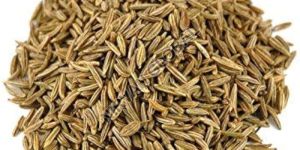 Cumin Seeds
