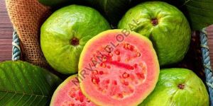 Fresh Guava
