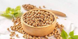 Soybean