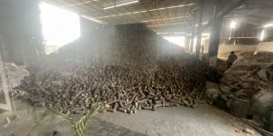 Biocoal Briquettes