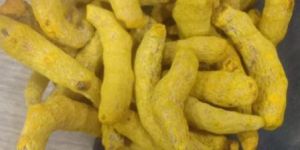 Dry Turmeric Finger