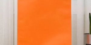 Plain D Cut Non Woven Bags