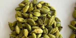 Green Cardamom