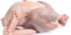 Turkey Meat
