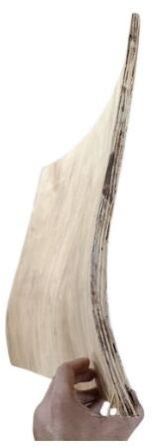 Waterfall Seat Plywood Chair