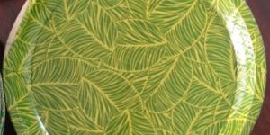 Disposable Paper Plate