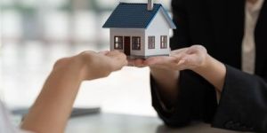 Real Estate Consultant