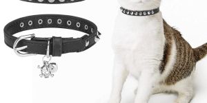 Leather Cat Harness