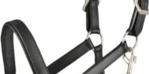Convertible Leather Horse Halters
