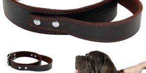 Leather Dog Harness