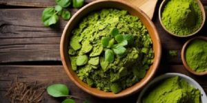 Moringa Leaves Powder