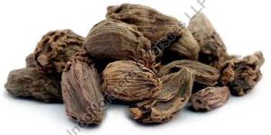 Black Cardamom
