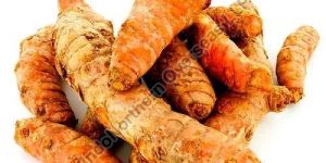 Raw Turmeric