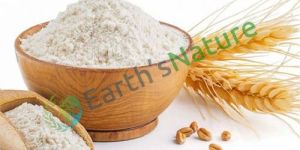Wheat Flour