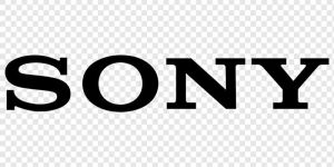 Sony Car Audio System