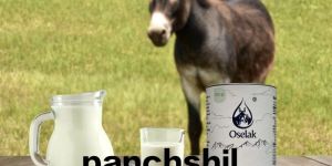 Donkey Milk