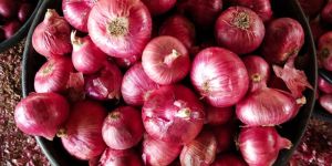 Fresh Red Onion