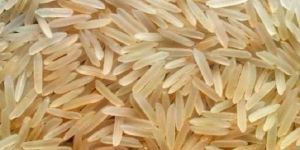 1509 Golden Sella Rice