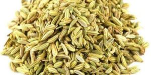 Fennel Seed
