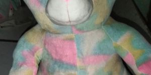 Teddy Bear with LED Light