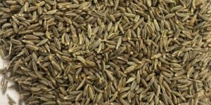 Cumin Seeds