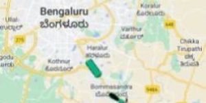 Mobile App Tracking Software Services