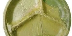 3 Compartment Sal Leaf Plate