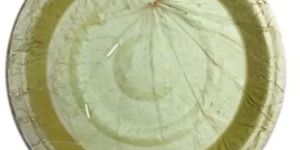 Disposable Green Sal Leaf Plate