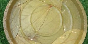 Plain Sal Leaf Disposable Plate