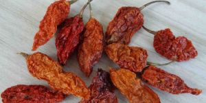 Dried Bhut Jolokia Red Chilli