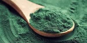 Organic Spirulina Powder