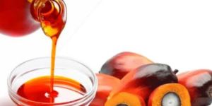 Palm Oil