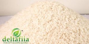 Indrayani Rice