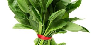 Fresh Spinach
