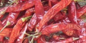 Dry Red Chilli