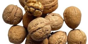 Kashmiri Walnut with Shell