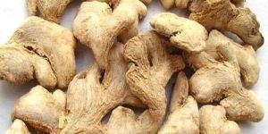 Dry Ginger