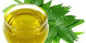 Neem Oil