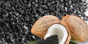 Coconut Shell Activated Carbon