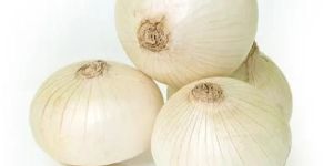 White Onions