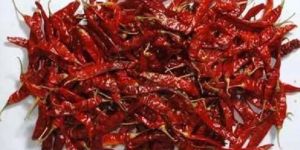 Patna Red Chilli
