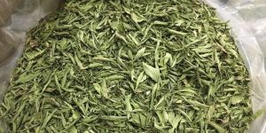 Dried Stevia Leaves