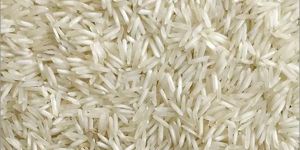 1509 Steam Basmati Rice