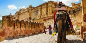 Rajasthan Tour Packages