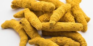 Dry Turmeric Finger
