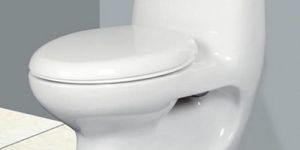 Round One Piece Toilet Seat