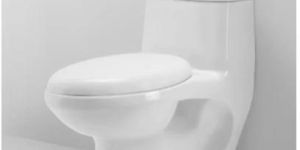 White Ceramic European Toilet Seat